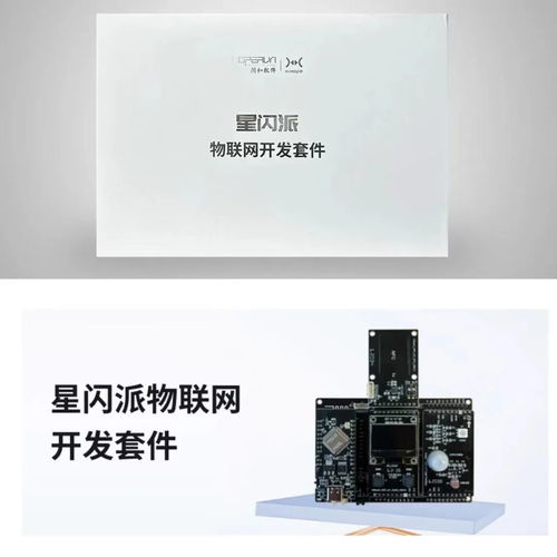 潤和軟件攜“星閃”“鴻蒙”產(chǎn)品亮相FCES2024未來計算機教育峰會，引領(lǐng)軟件開發(fā)新趨勢